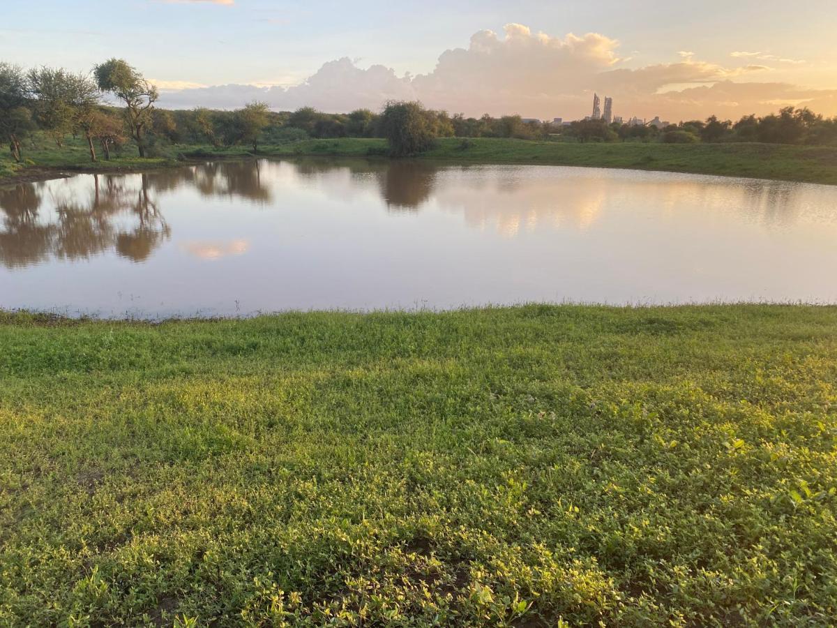 Maasai Simba Camp Hotel Amboseli Luaran gambar