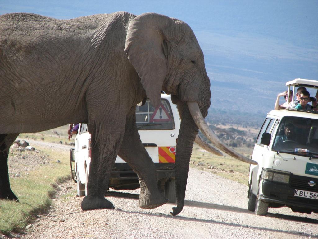 Maasai Simba Camp Hotel Amboseli Luaran gambar