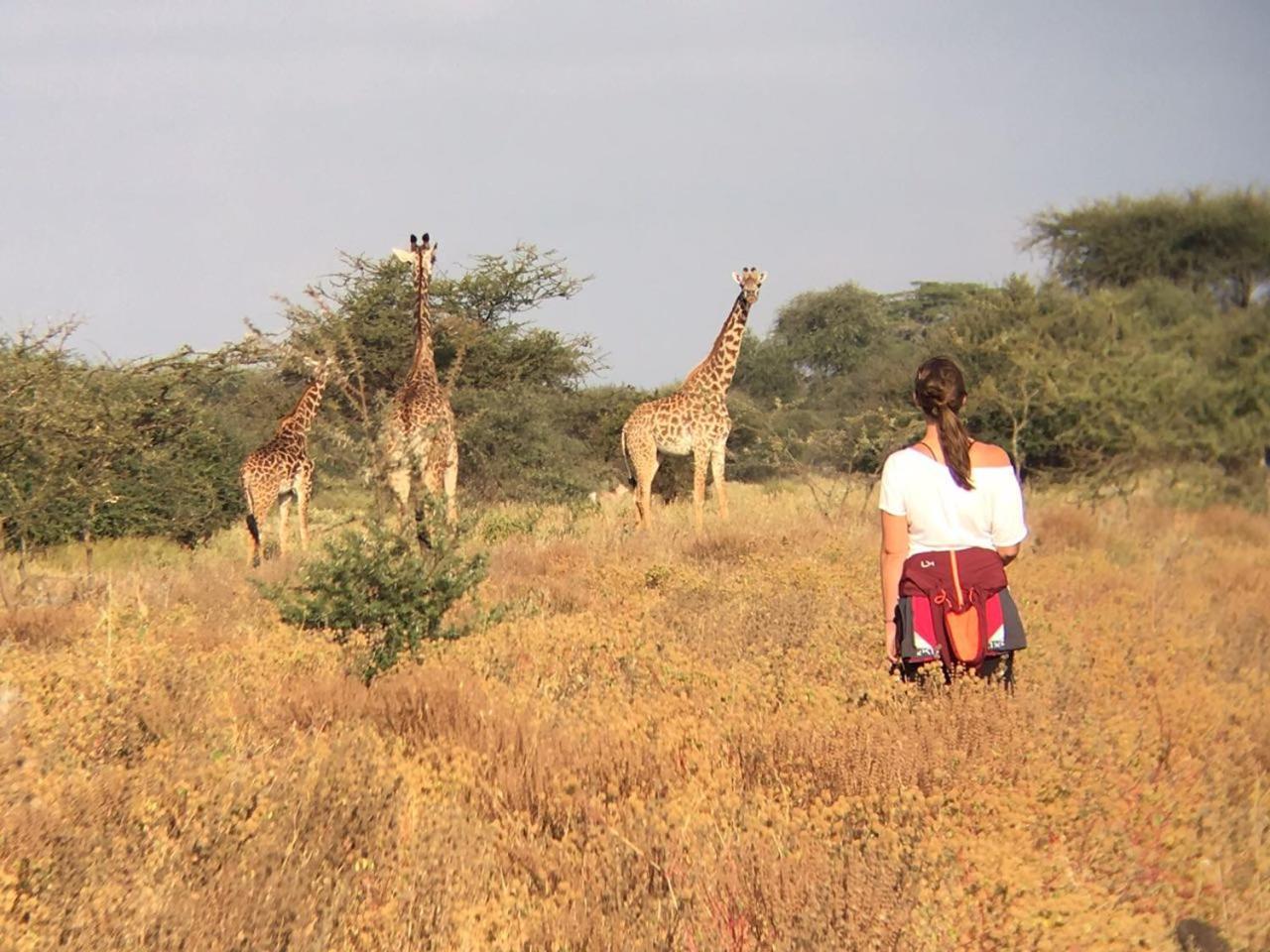 Maasai Simba Camp Hotel Amboseli Luaran gambar